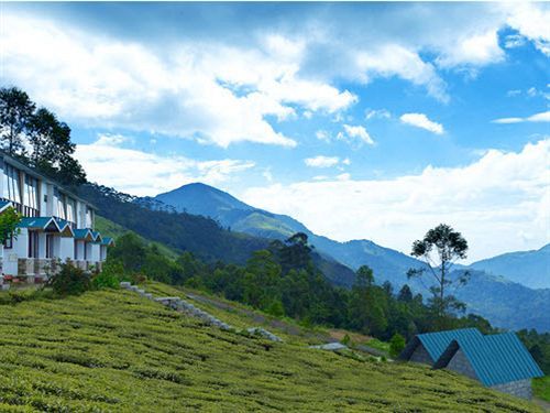 Green Jungle Holiday Resort Munnar Kültér fotó
